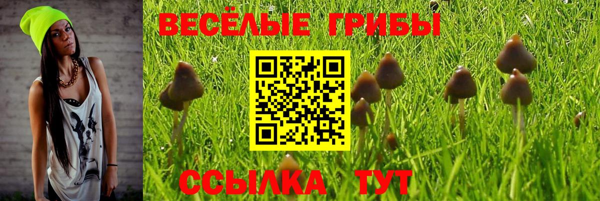 Псилоцибиновые грибы мухоморы  Вход с VPN  Новокуйбышевск 